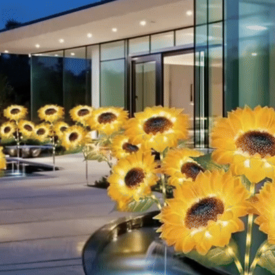 Sunshine Solar Garden Lights Prestige Garage Designs